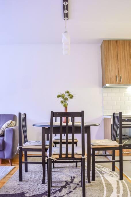 Ema / Quiet, Lovely And Cozy Appartamento Novi Sad